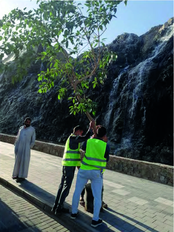 أعمال تنسيق حدائق عامة